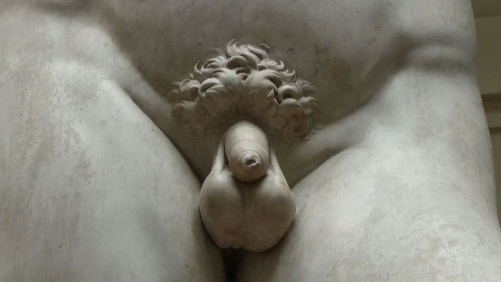 Crotch shot of Michelangelo's David sculpture.