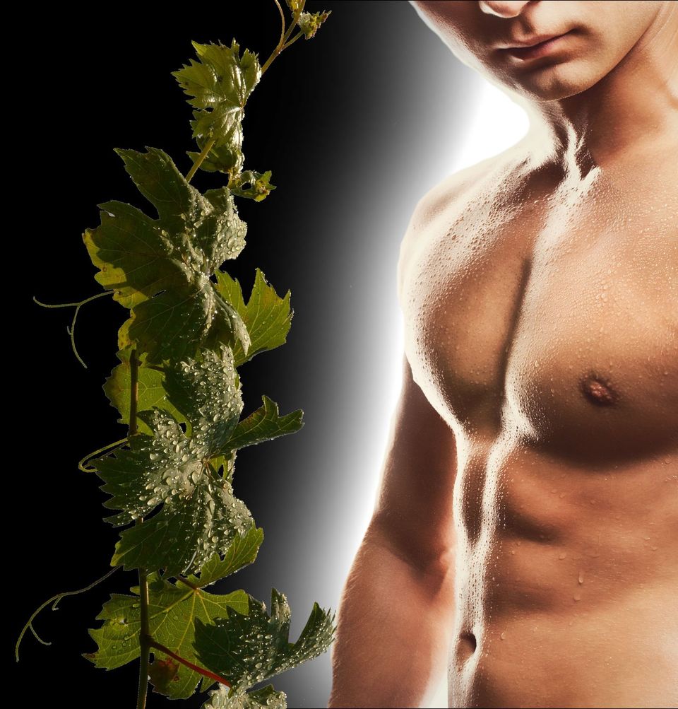 A photograph showing a grapevine on the left and a handsome naked man on the right, both with beads of water.